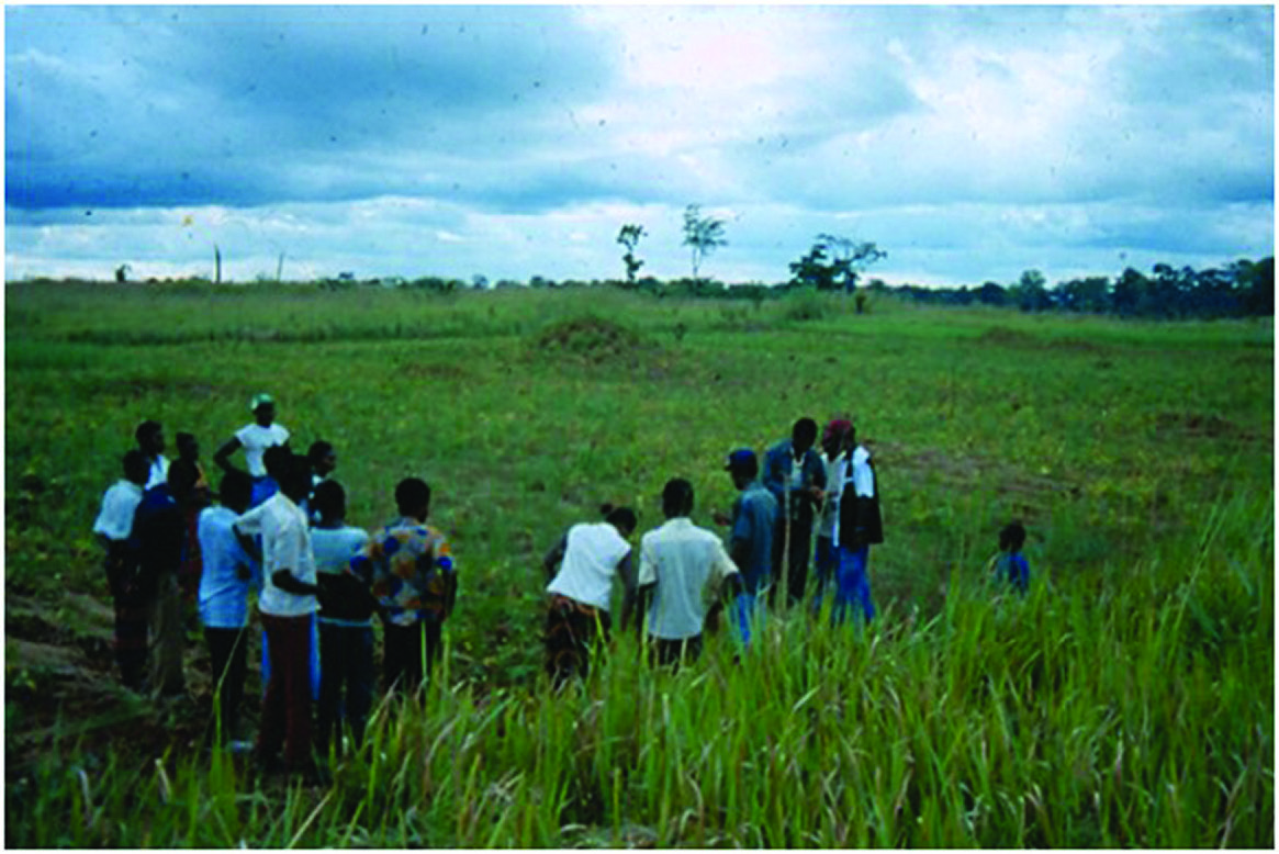 A village co-op planning for a new tree garden plot.