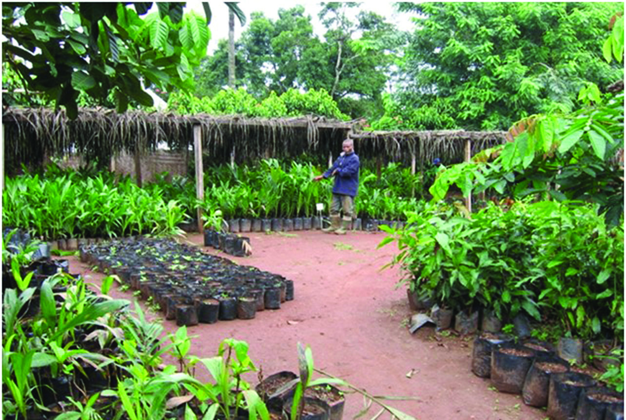 A well-stocked fruit tree nursery at the center.