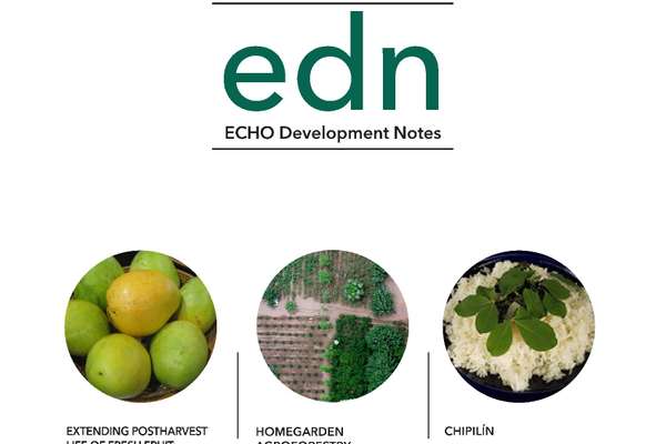 EDN Issue #154