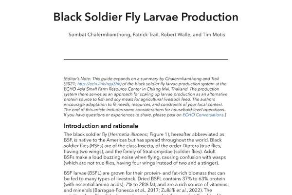 Black Soldier Fly Larvae Production